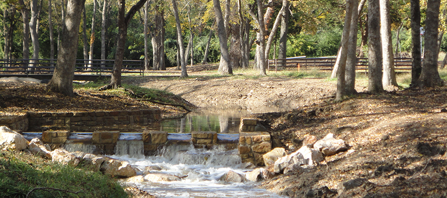 LakewoodWebsite6