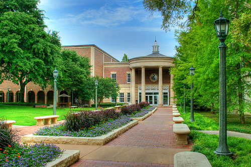 library-3